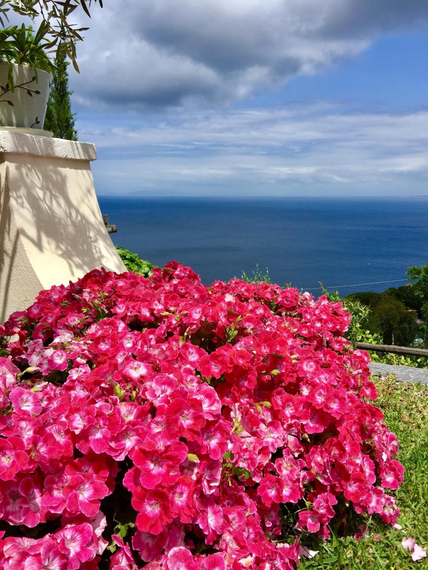 Agapanto Luxury Accommodation Casamicciola Terme Exterior photo